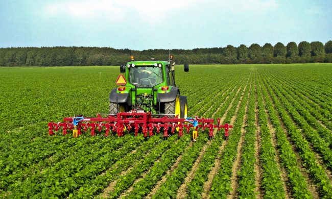 Il settore agroalimentare bergamasco resiste