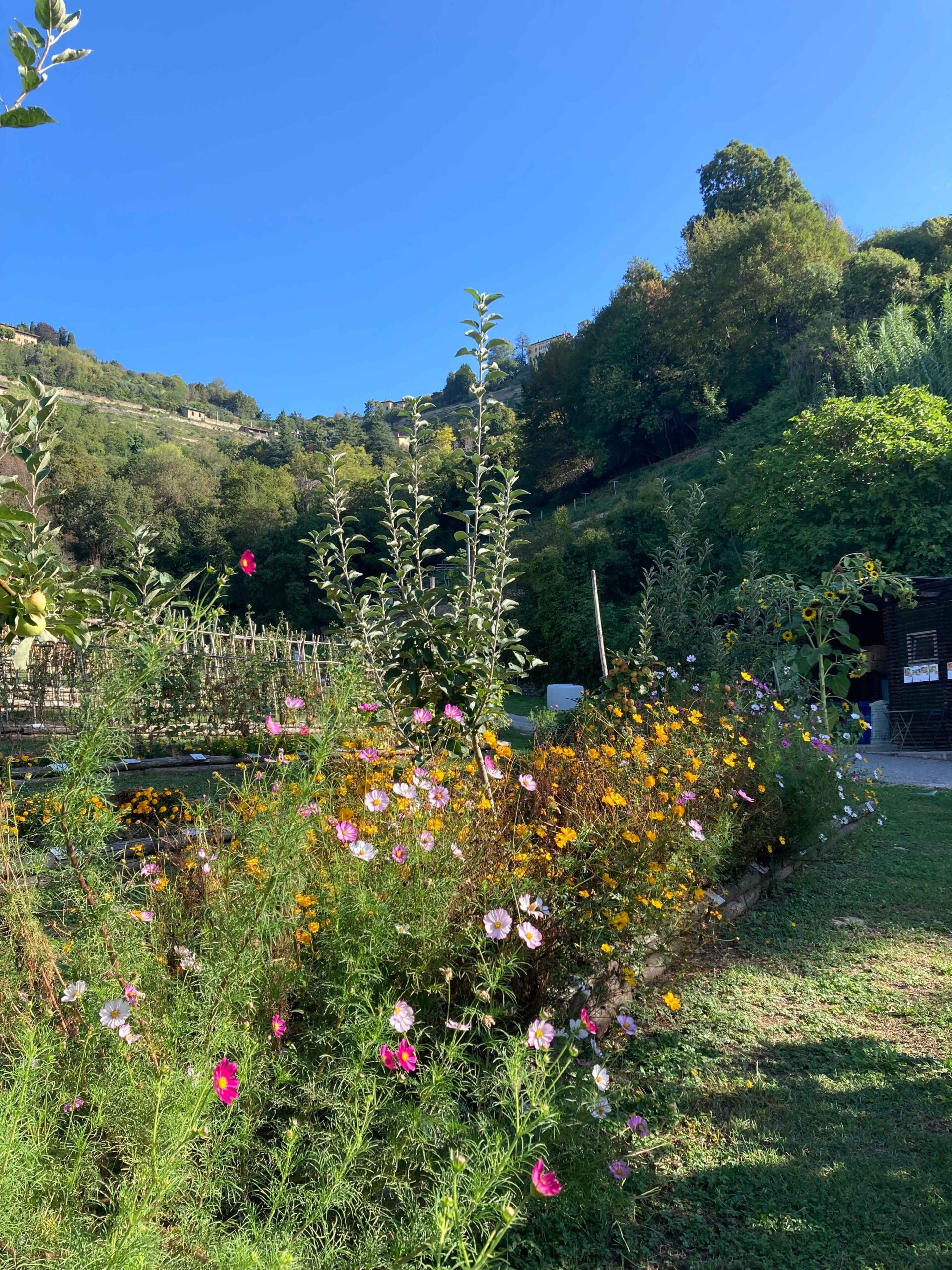 La biodiversità sboccia sotto casa