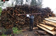 113mila euro in sanzioni per i forestali, da gennaio