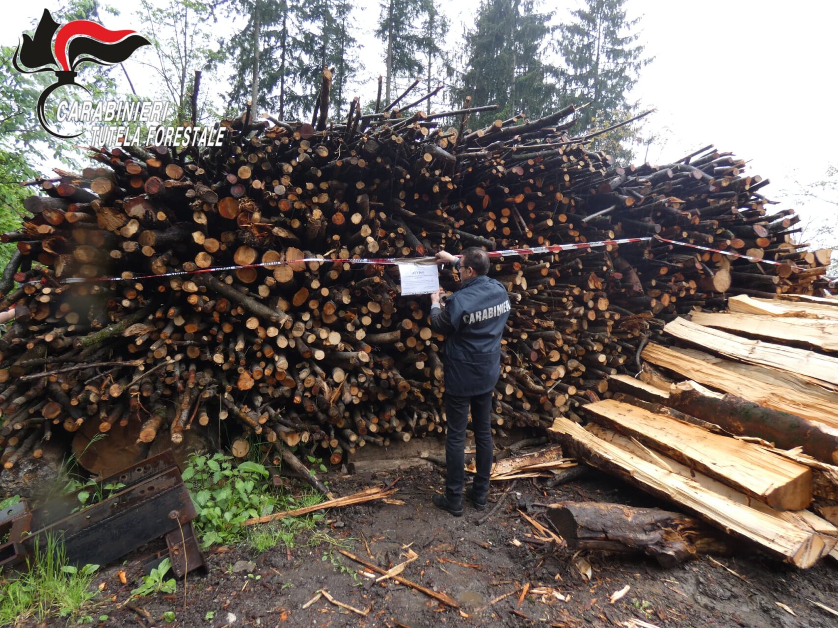 113mila euro in sanzioni per i forestali, da gennaio