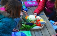 A lezione con le piante negli Orti Botanici della Lombardia